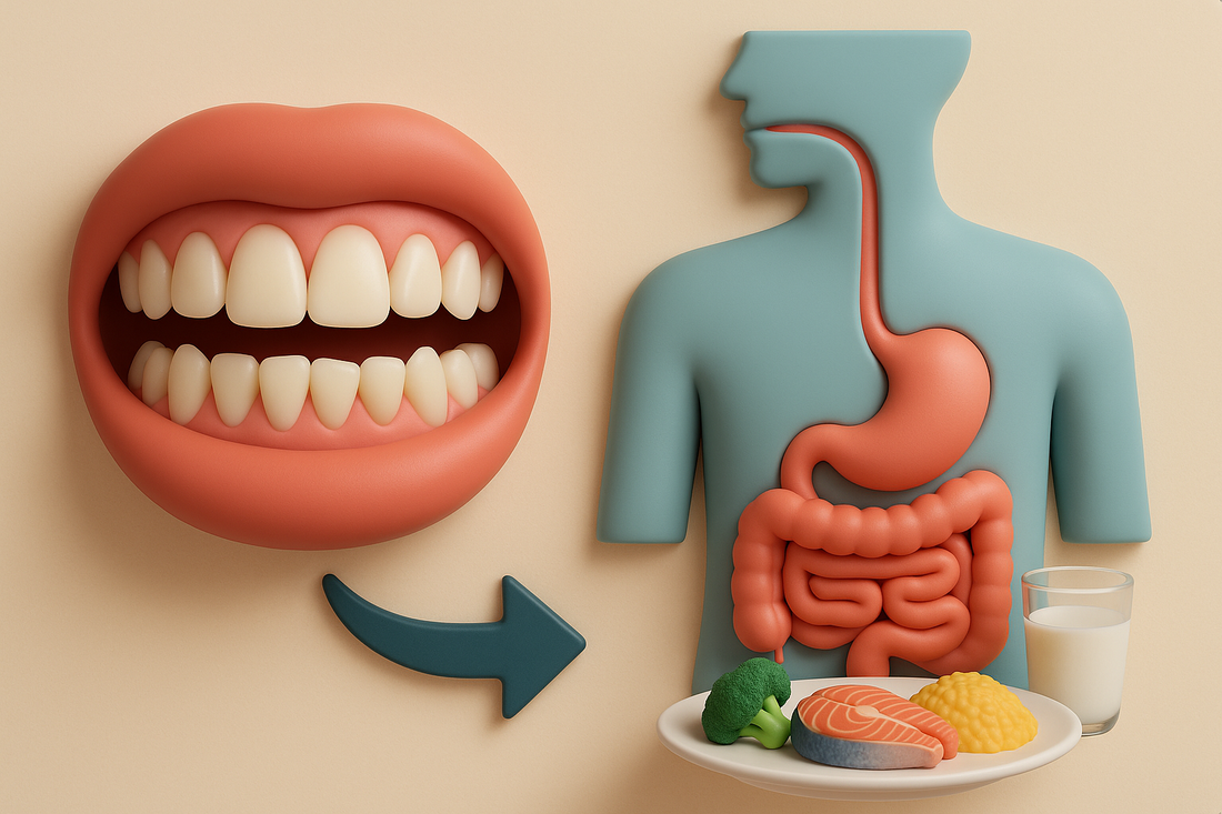 How Misaligned Teeth Affect Digestion & Nutrition: The Hidden Connection Between Your Smile and Your Health